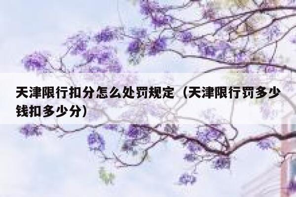 天津限行扣分怎么处罚规定（天津限行罚多少钱扣多少分） 第1张