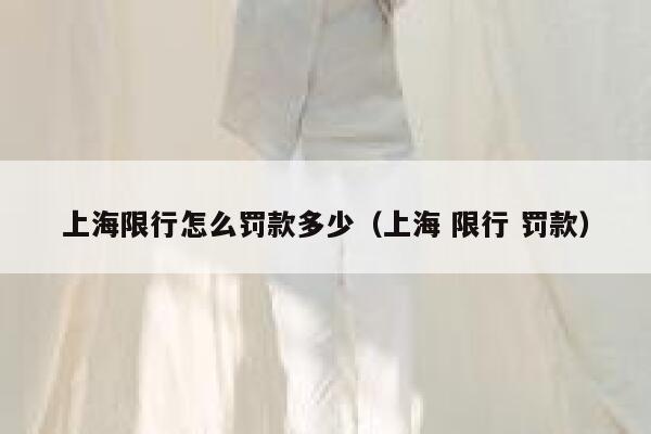 上海限行怎么罚款多少（上海 限行 罚款） 第1张