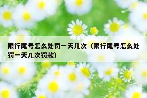 限行尾号怎么处罚一天几次（限行尾号怎么处罚一天几次罚款） 第1张