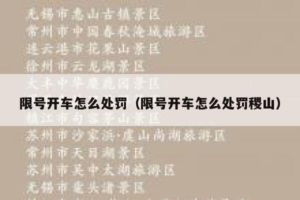 限号开车怎么处罚（限号开车怎么处罚稷山） 第1张