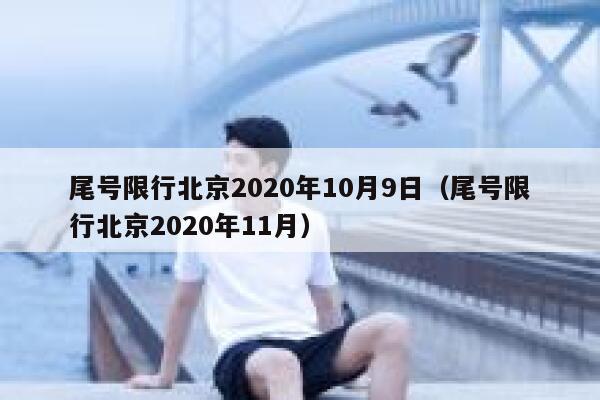 尾号限行北京2020年10月9日（尾号限行北京2020年11月） 第1张