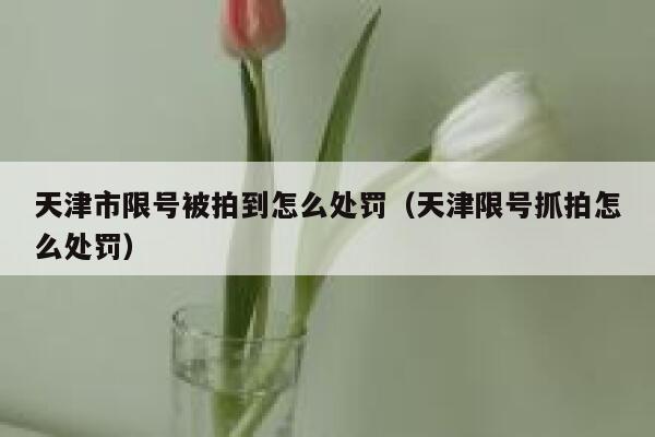 天津市限号被拍到怎么处罚（天津限号抓拍怎么处罚） 第1张