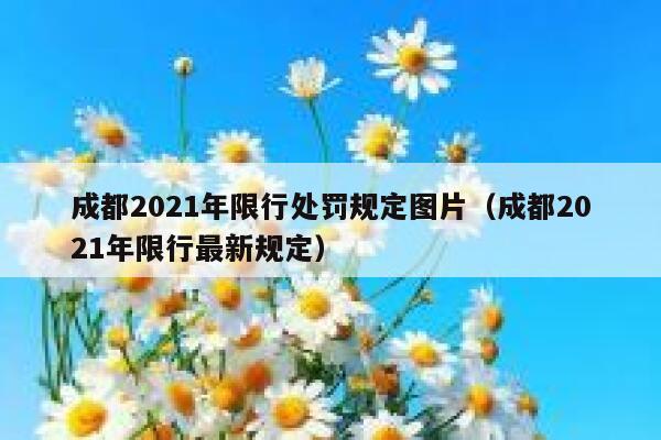 成都2021年限行处罚规定图片（成都2021年限行最新规定） 第1张