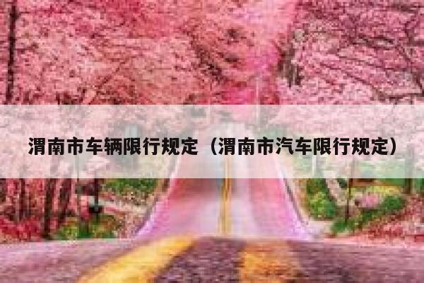 渭南市车辆限行规定（渭南市汽车限行规定） 第1张