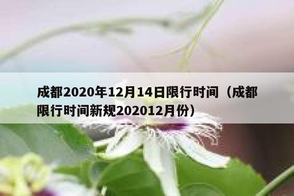 成都2020年12月14日限行时间（成都限行时间新规202012月份） 第1张