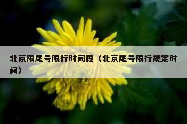 北京限尾号限行时间段（北京尾号限行规定时间） 第1张