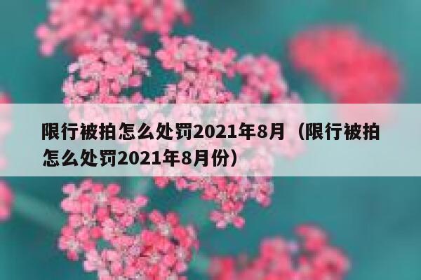 限行被拍怎么处罚2021年8月（限行被拍怎么处罚2021年8月份） 第1张
