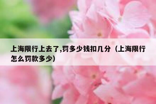 上海限行上去了,罚多少钱扣几分（上海限行怎么罚款多少） 第1张
