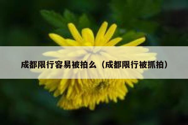 成都限行容易被拍么（成都限行被抓拍） 第1张