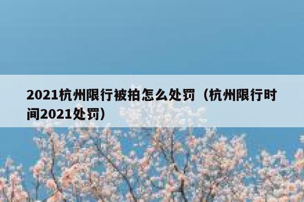 2021杭州限行被拍怎么处罚（杭州限行时间2021处罚） 第1张