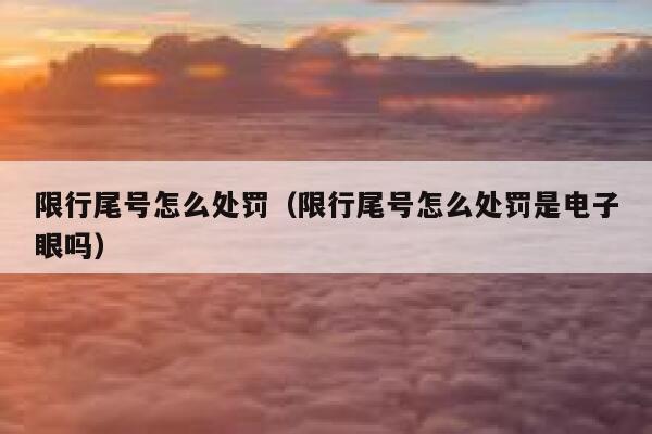 限行尾号怎么处罚（限行尾号怎么处罚是电子眼吗） 第1张