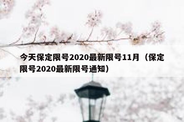今天保定限号2020最新限号11月（保定限号2020最新限号通知） 第1张