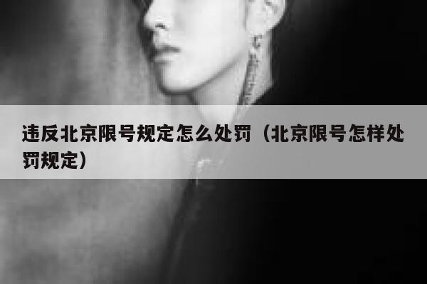 违反北京限号规定怎么处罚（北京限号怎样处罚规定） 第1张