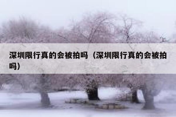 深圳限行真的会被拍吗（深圳限行真的会被拍吗） 第1张