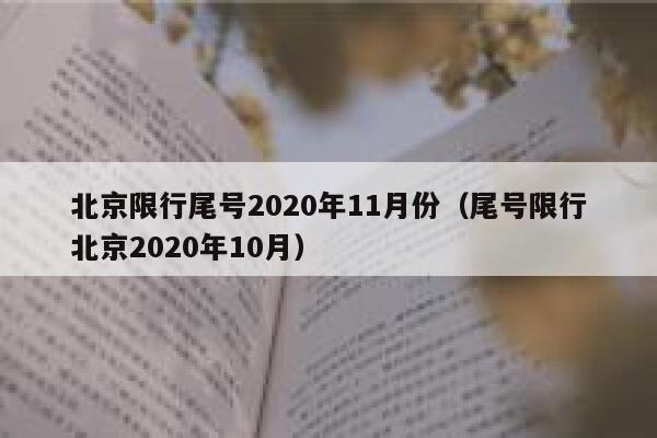 北京限行尾号2020年11月份（尾号限行北京2020年10月） 第1张