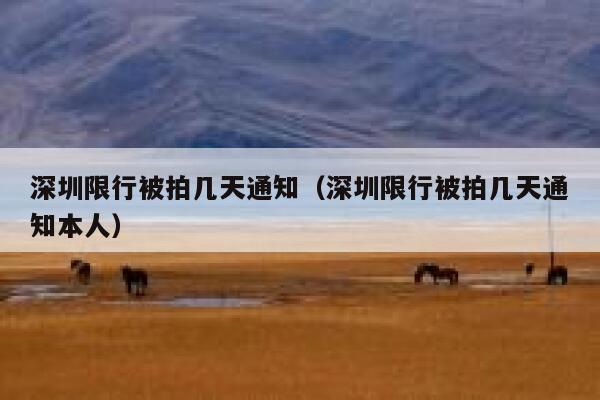 深圳限行被拍几天通知（深圳限行被拍几天通知本人） 第1张
