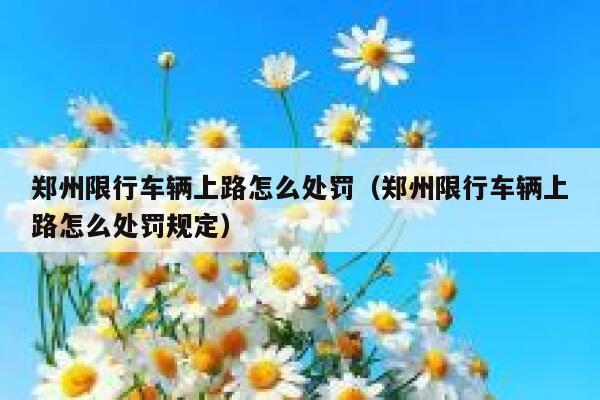郑州限行车辆上路怎么处罚（郑州限行车辆上路怎么处罚规定） 第1张