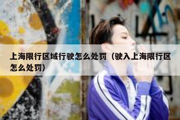 上海限行区域行驶怎么处罚（驶入上海限行区怎么处罚） 第1张