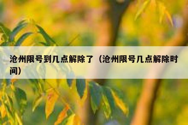 沧州限号到几点解除了（沧州限号几点解除时间） 第1张