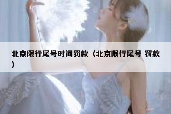北京限行尾号时间罚款（北京限行尾号 罚款） 第1张