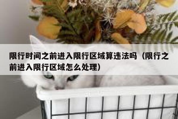 限行时间之前进入限行区域算违法吗（限行之前进入限行区域怎么处理） 第1张