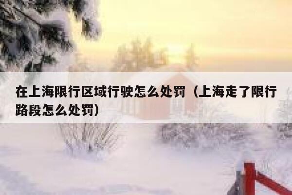 在上海限行区域行驶怎么处罚（上海走了限行路段怎么处罚） 第1张