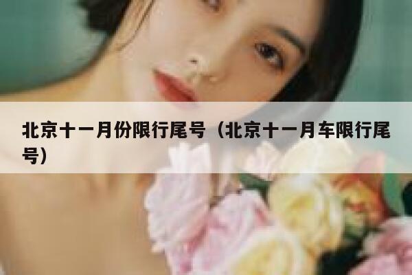 北京十一月份限行尾号（北京十一月车限行尾号） 第1张