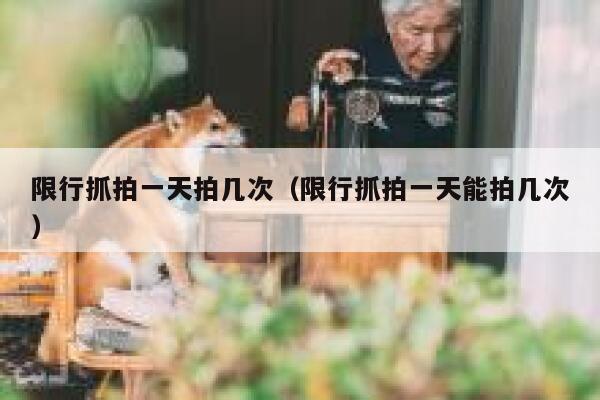 限行抓拍一天拍几次（限行抓拍一天能拍几次） 第1张