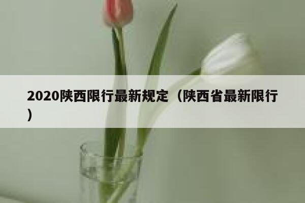 2020陕西限行最新规定（陕西省最新限行） 第1张