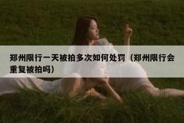 郑州限行一天被拍多次如何处罚（郑州限行会重复被拍吗） 第1张