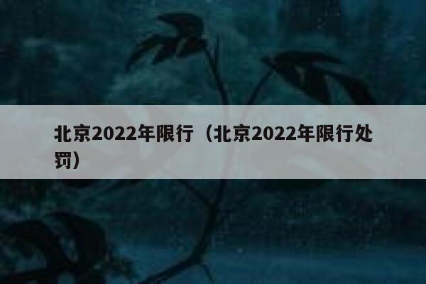 北京2022年限行（北京2022年限行处罚） 第1张