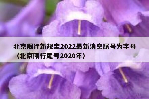 北京限行新规定2022最新消息尾号为字母（北京限行尾号2020年） 第1张