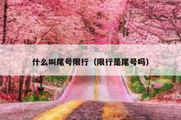 什么叫尾号限行（限行是尾号吗） 第1张