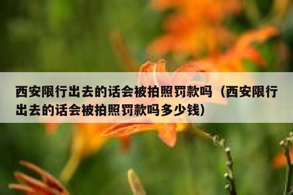 西安限行出去的话会被拍照罚款吗（西安限行出去的话会被拍照罚款吗多少钱） 第1张