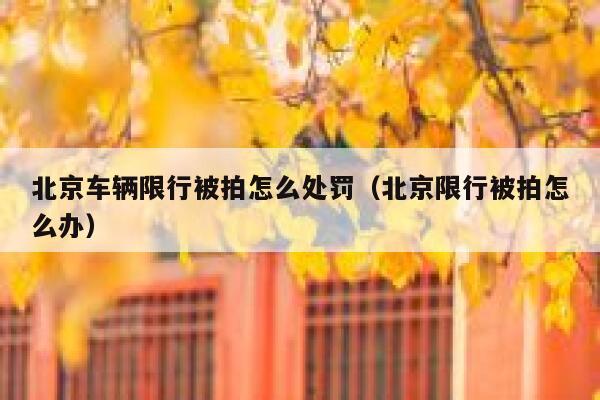 北京车辆限行被拍怎么处罚（北京限行被拍怎么办） 第1张