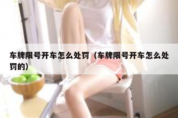 车牌限号开车怎么处罚（车牌限号开车怎么处罚的） 第1张