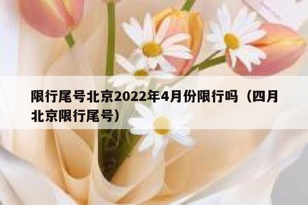 限行尾号北京2022年4月份限行吗（四月北京限行尾号） 第1张