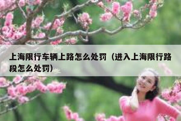 上海限行车辆上路怎么处罚（进入上海限行路段怎么处罚） 第1张