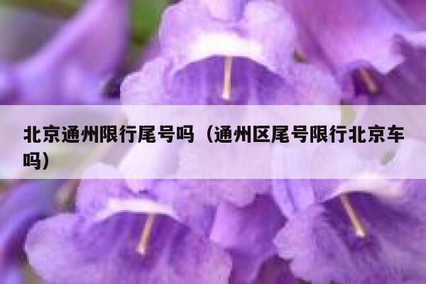 北京通州限行尾号吗（通州区尾号限行北京车吗） 第1张