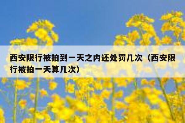 西安限行被拍到一天之内还处罚几次（西安限行被拍一天算几次） 第1张