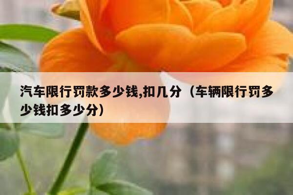 汽车限行罚款多少钱,扣几分（车辆限行罚多少钱扣多少分） 第1张