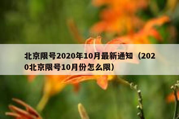 北京限号2020年10月最新通知（2020北京限号10月份怎么限） 第1张