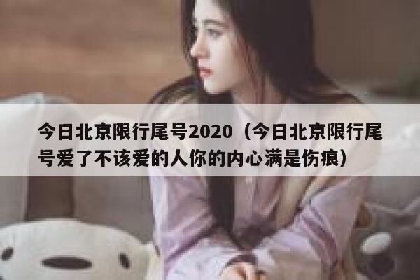 今日北京限行尾号2020（今日北京限行尾号爱了不该爱的人你的内心满是伤痕） 第1张