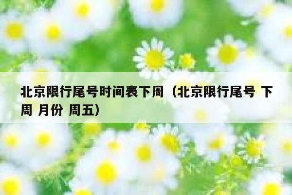 北京限行尾号时间表下周（北京限行尾号 下周 月份 周五） 第1张