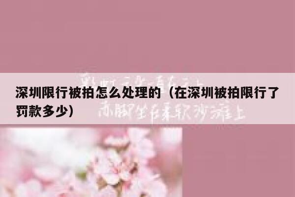深圳限行被拍怎么处理的（在深圳被拍限行了罚款多少） 第1张