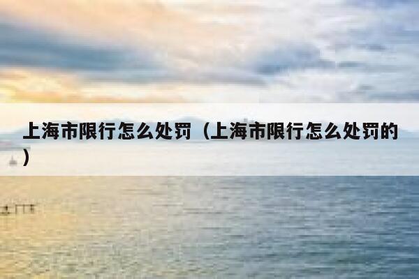 上海市限行怎么处罚（上海市限行怎么处罚的） 第1张