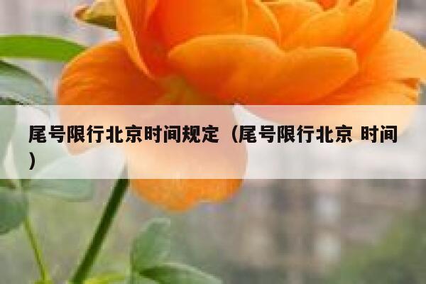 尾号限行北京时间规定（尾号限行北京 时间） 第1张