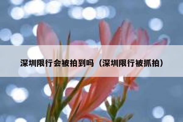 深圳限行会被拍到吗（深圳限行被抓拍） 第1张