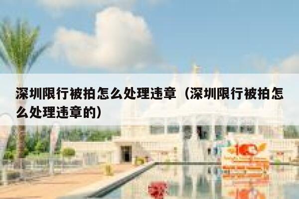 深圳限行被拍怎么处理违章（深圳限行被拍怎么处理违章的） 第1张