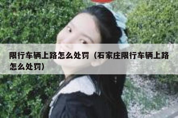 限行车辆上路怎么处罚（石家庄限行车辆上路怎么处罚） 第1张